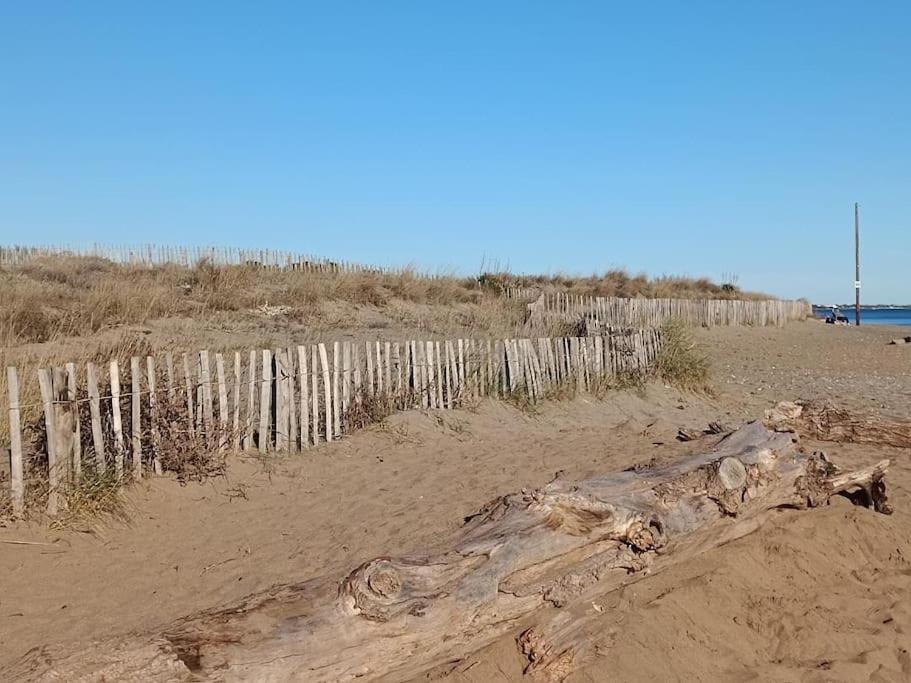 Studio Au Cap D'Agde Dans Les Pinedes Exterior foto